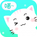 宠猫翻译app下载